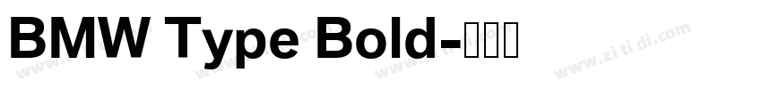BMW Type Bold字体转换